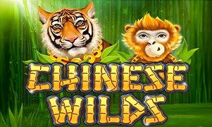 Hình ảnh game Chinese Wilds